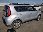 KIA SOUL + photo