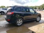 HYUNDAI SANTA FE L photo