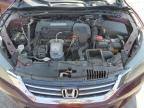 HONDA ACCORD EXL photo