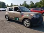 KIA SOUL photo