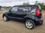 KIA SOUL + photo