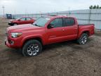 TOYOTA TACOMA DOU снимка