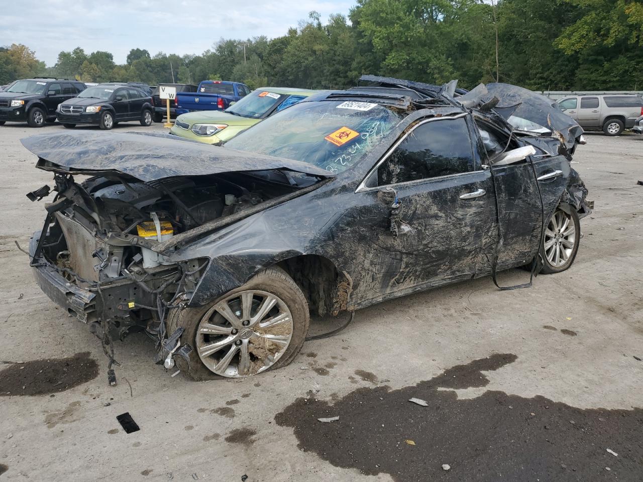 Lot #2989152703 2007 LEXUS ES 350