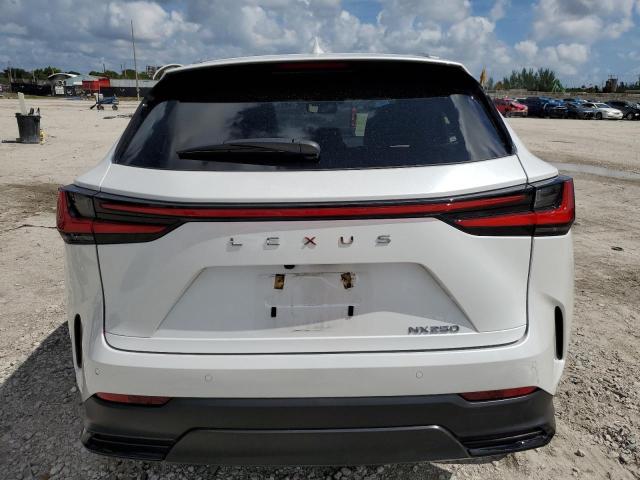 2024 LEXUS NX 250 PRE 2T2GDCAZ0RC010043