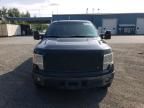 FORD F150 SUPER photo