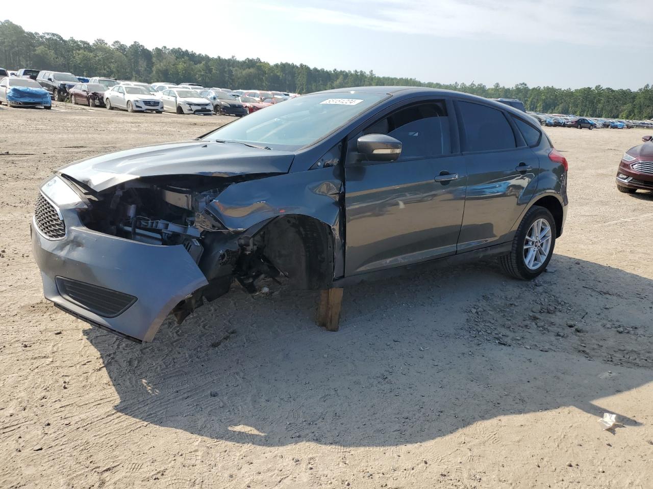 Lot #2955056816 2016 FORD FOCUS SE