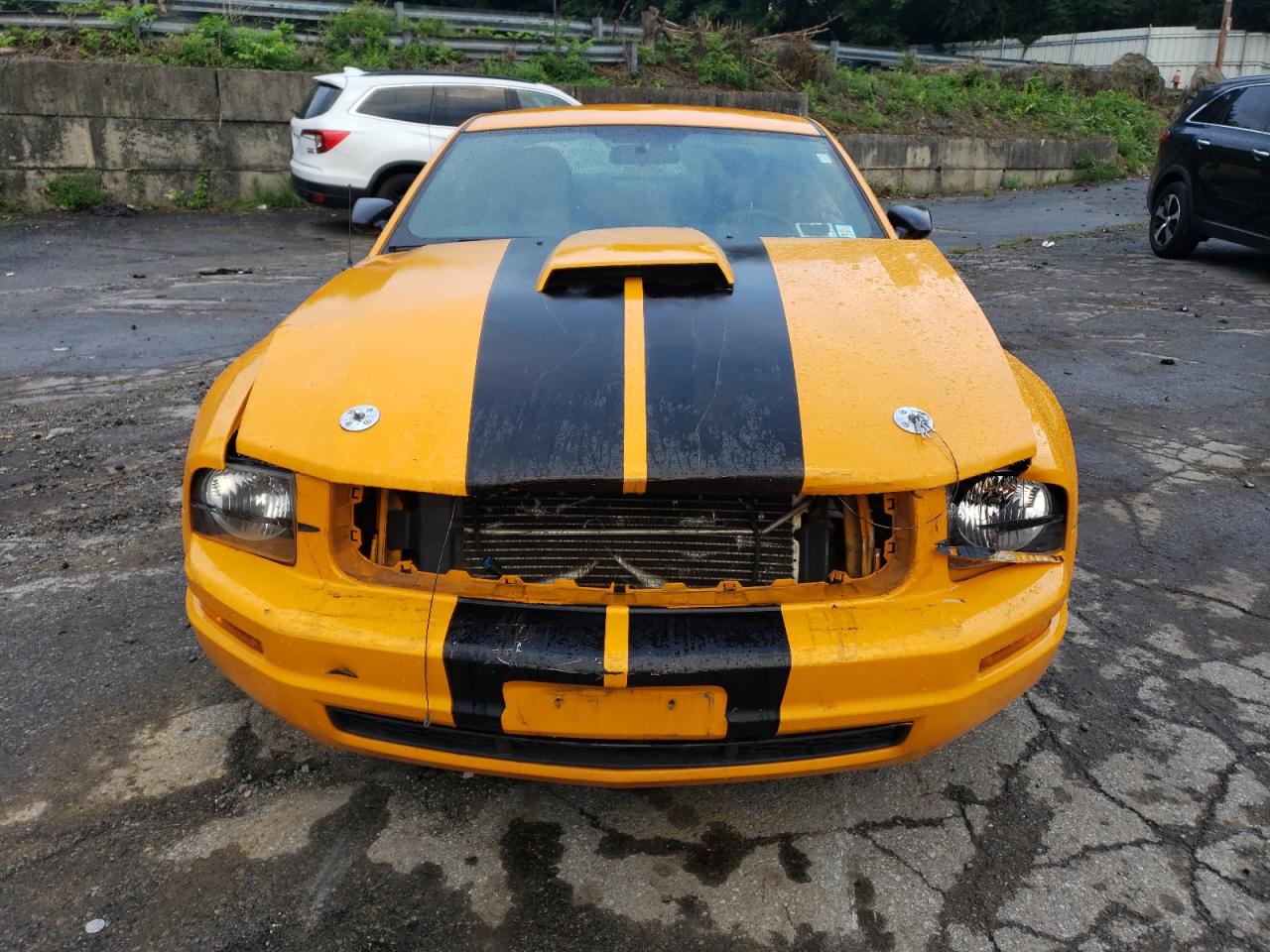 Lot #2996556580 2008 FORD MUSTANG