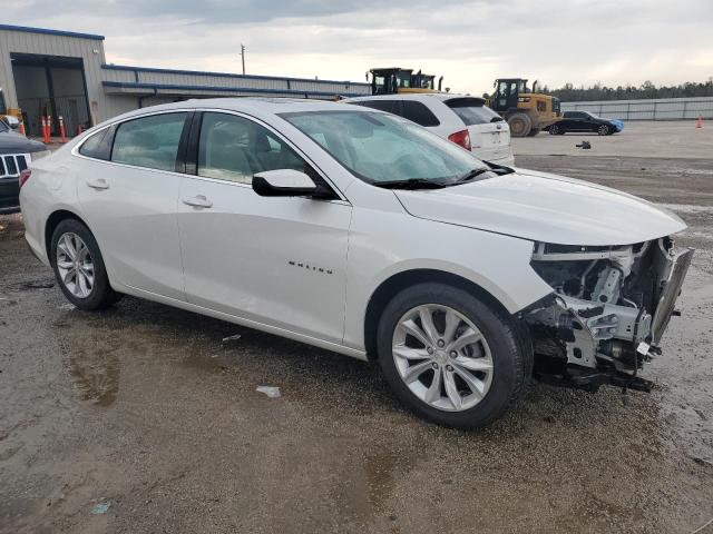 2019 CHEVROLET MALIBU LT - 1G1ZD5ST7KF192896