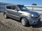 KIA SOUL + photo