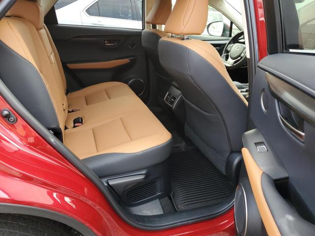 2020 LEXUS NX 300 - JTJDARDZ1L5015770