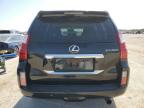 LEXUS GX 460 photo