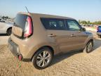 KIA SOUL + photo