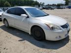 NISSAN ALTIMA BAS photo