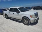 FORD F150 SUPER photo