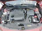 NISSAN MAXIMA PLA photo