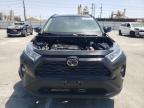 TOYOTA RAV4 XLE photo