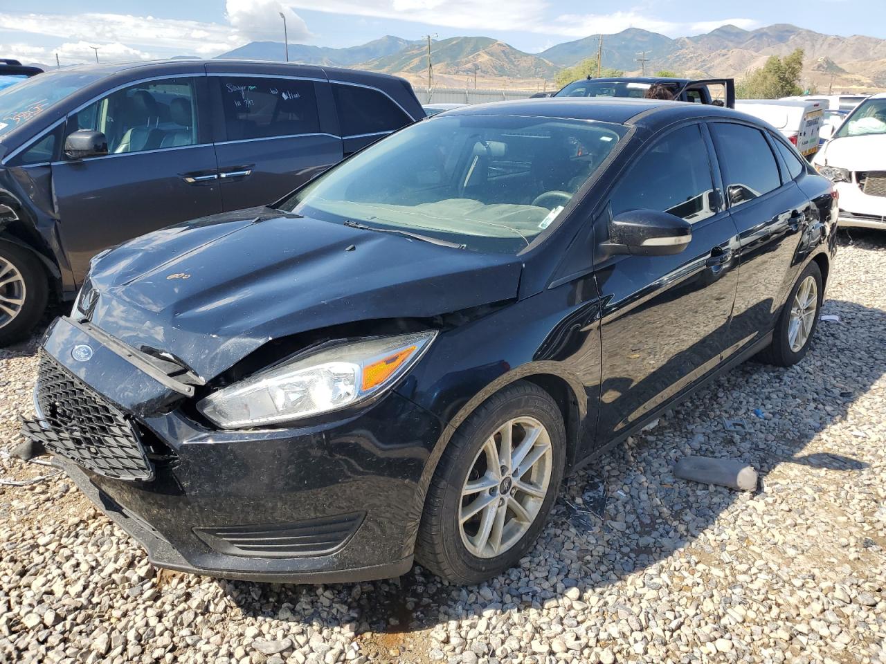 Lot #2838762607 2017 FORD FOCUS SE