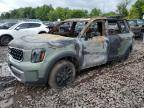 Lot #2940801354 2023 KIA TELLURIDE