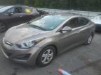 HYUNDAI ELANTRA SE photo