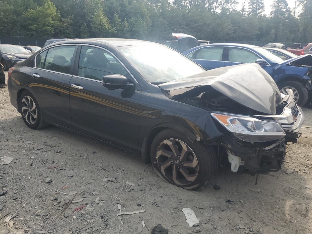 Lot #2976936807 2016 HONDA ACCORD EXL