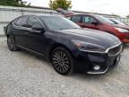 KIA CADENZA PR photo