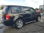 HONDA PILOT EXL photo