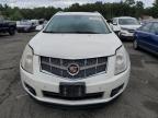 CADILLAC SRX PREMIU photo