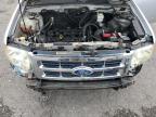 FORD ESCAPE XLS photo