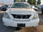 LEXUS RX 330 photo