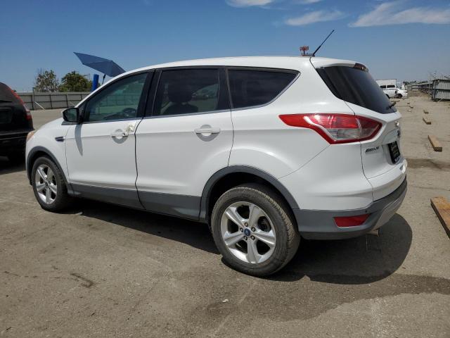 2013 FORD ESCAPE SE 1FMCU0GX5DUA60886  66504644