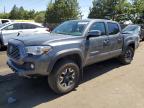 2023 TOYOTA TACOMA DOU - 3TMCZ5AN1PM597662