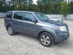 HONDA PILOT EXL photo