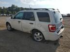 FORD ESCAPE XLT photo