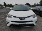 TOYOTA RAV4 HV LE photo