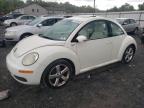 VOLKSWAGEN NEW BEETLE photo