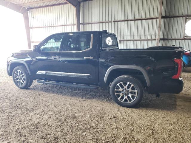 2022 TOYOTA TUNDRA CRE - 5TFMA5DB5NX001957