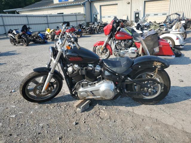 2023 HARLEY-DAVIDSON FXST 1HD1BVJ15PB042146