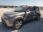 KIA SOUL + photo