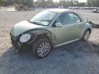 VOLKSWAGEN NEW BEETLE photo