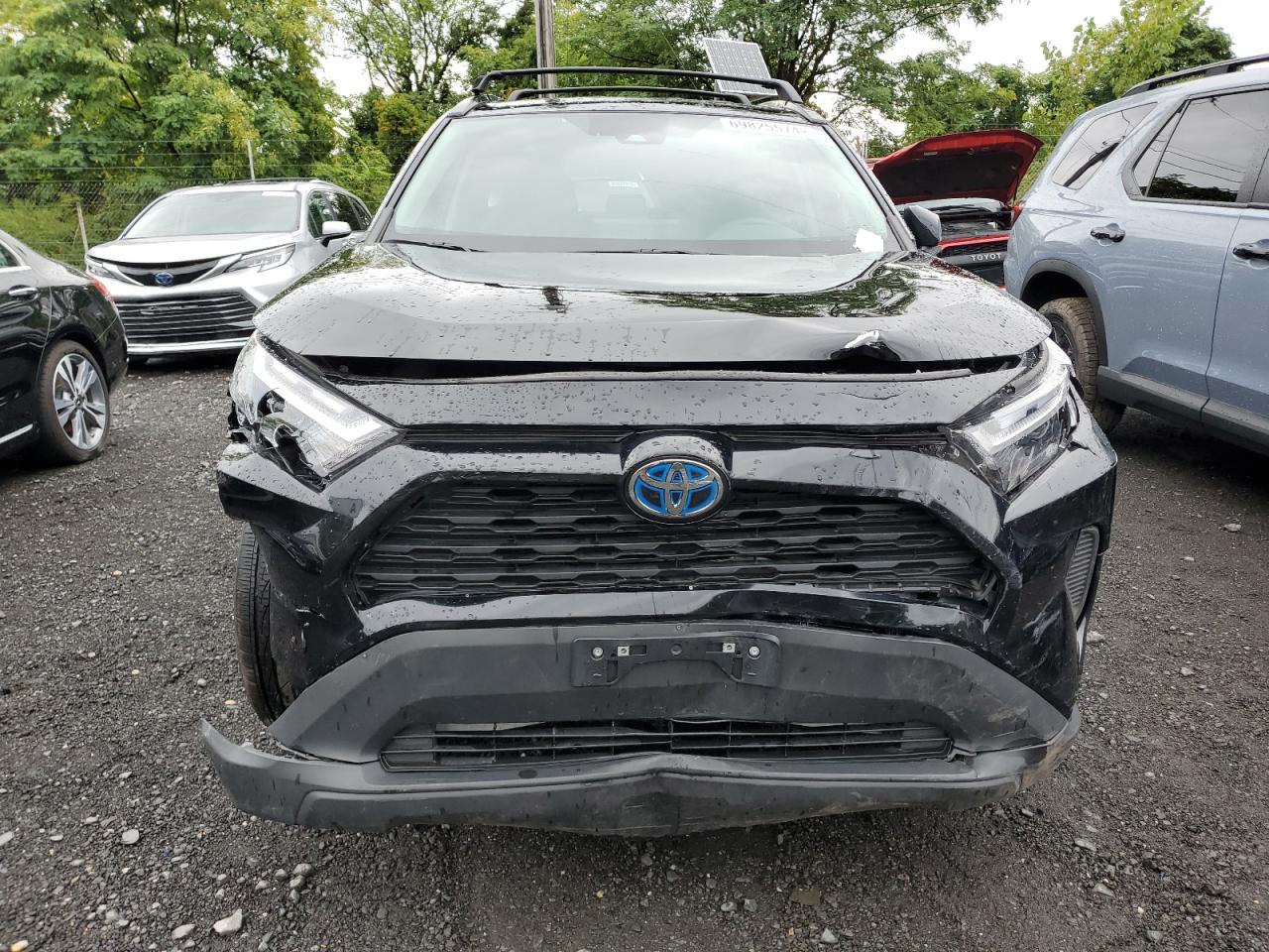 Lot #2874149759 2023 TOYOTA RAV4 XLE