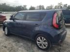 KIA SOUL + photo