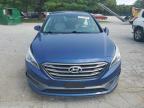 HYUNDAI SONATA SPO photo