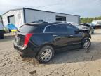 CADILLAC SRX LUXURY photo