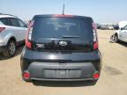 KIA SOUL + photo