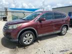 HONDA CR-V EX photo