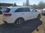 KIA SORENTO EX photo