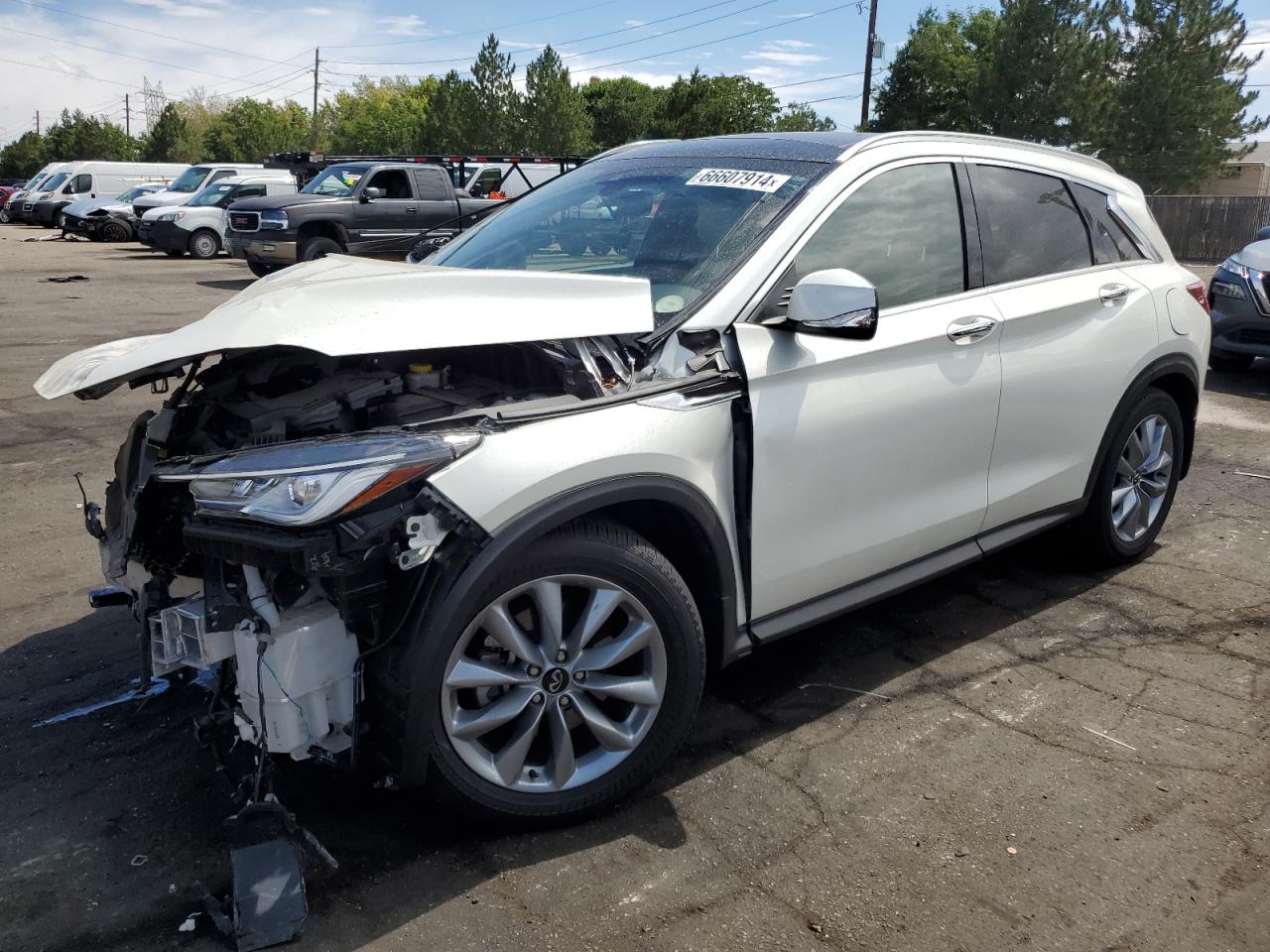 Lot #2907608636 2022 INFINITI QX50 LUXE