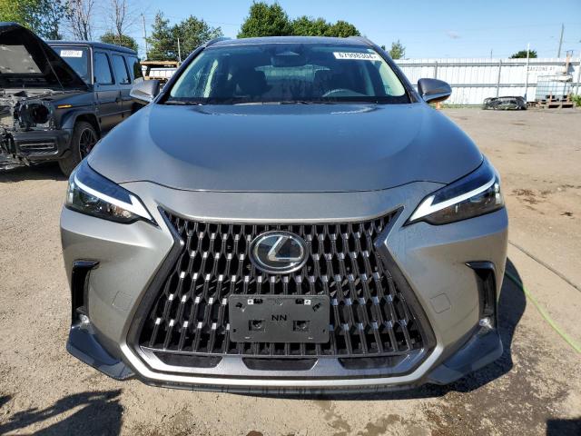 2023 LEXUS NX 250 2T2ADCEZ2PC003530