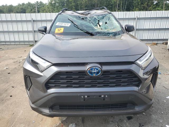 2024 TOYOTA RAV4 LE - 4T3LWRFVXRU144151