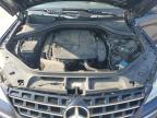 MERCEDES-BENZ ML 350 4MA photo